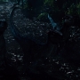 JurassicWorld-02763.jpg