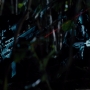 JurassicWorld-02768.jpg