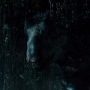 JurassicWorld-02788.jpg