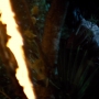 JurassicWorld-02814.jpg