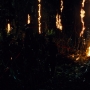 JurassicWorld-02818.jpg