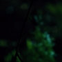 JurassicWorld-02821.jpg