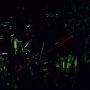 JurassicWorld-02822.jpg