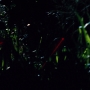 JurassicWorld-02823.jpg
