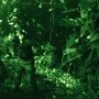 JurassicWorld-02826.jpg