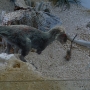 Filename=1721.jpg
Filesize=474KiB
Dimensions=1920x960
Date added=Oct 20, 2022 1721.jpg