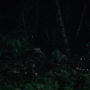 KM2-01243.jpg
