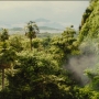 Kingsman2-03190.jpg
