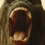 SkullIsland-01027.jpg