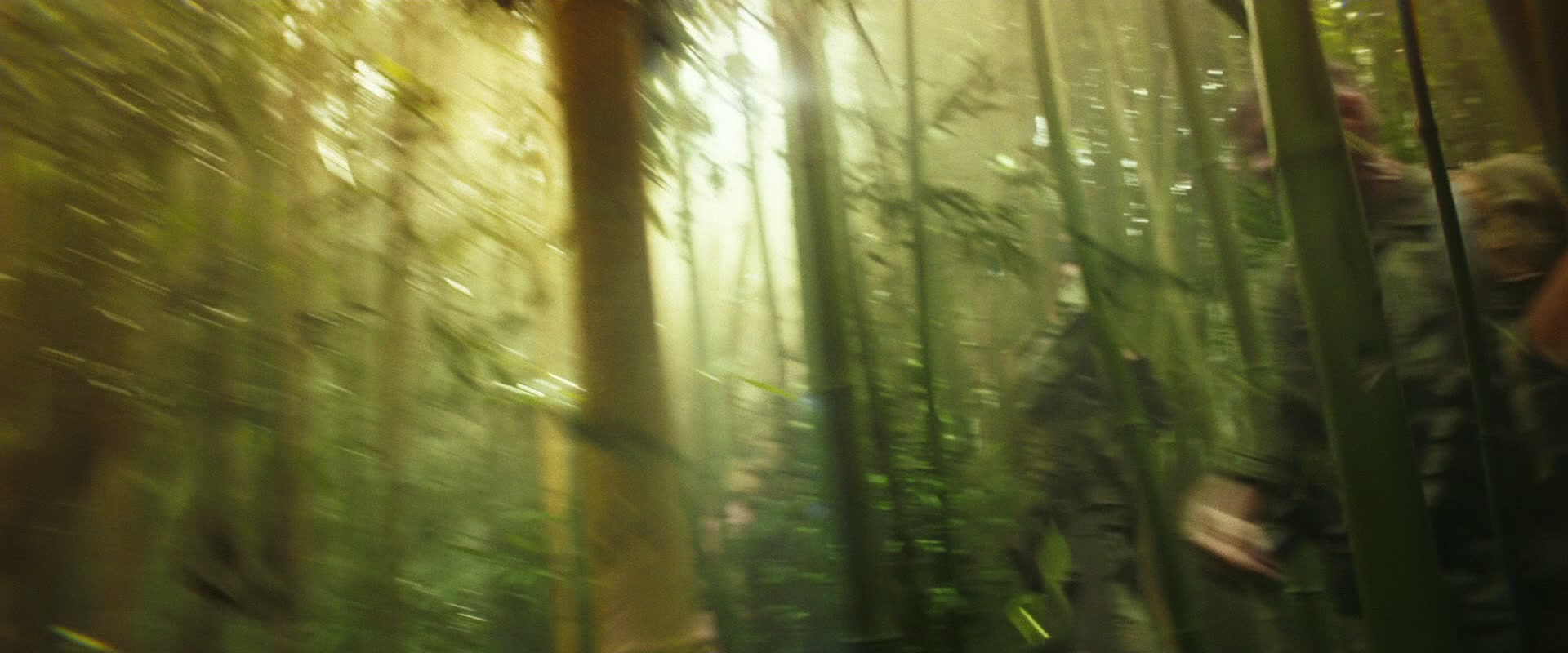 SkullIsland-01290.jpg