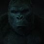 SkullIsland-02011.jpg