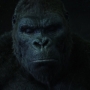 SkullIsland-02012.jpg