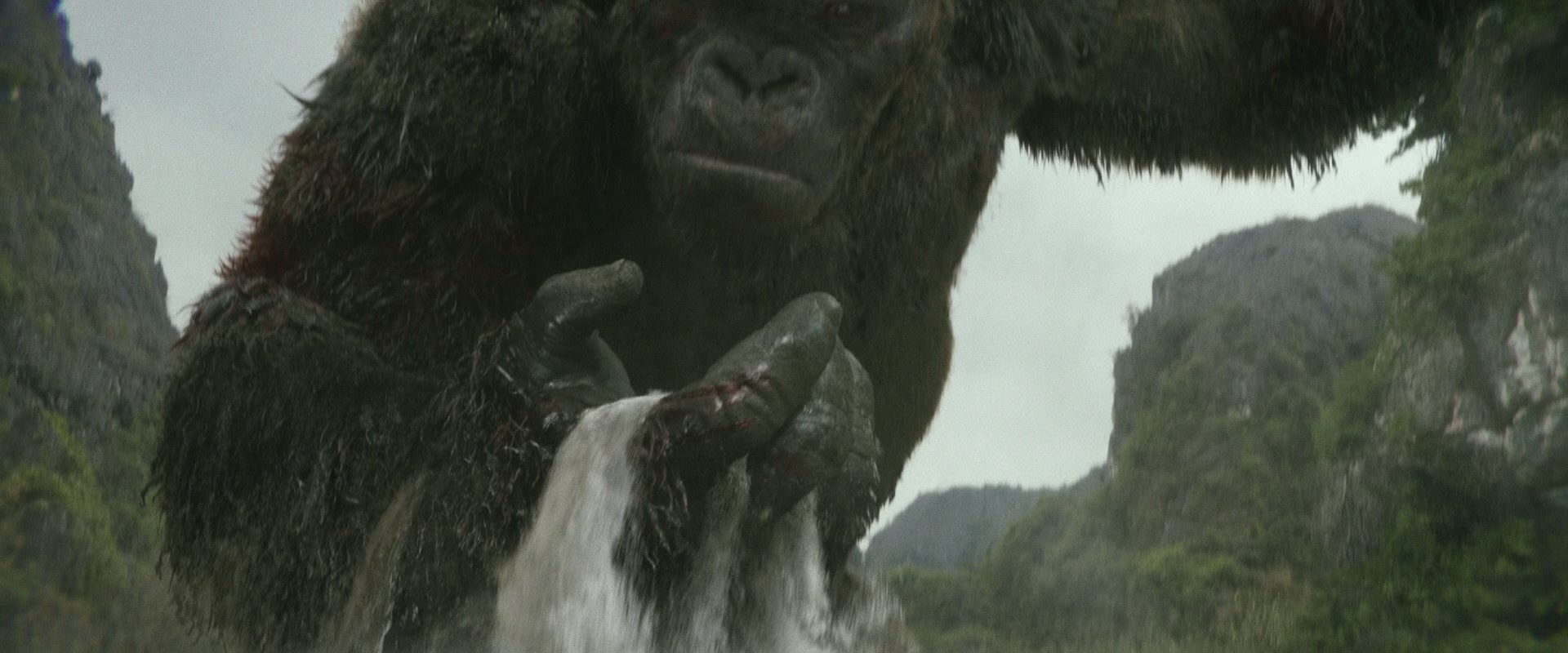 SkullIsland-03082.jpg
