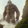 Filename=SkullIsland-03182.jpg
Filesize=198KiB
Dimensions=1920x800
Date added=Oct 23, 2021 SkullIsland-03182.jpg