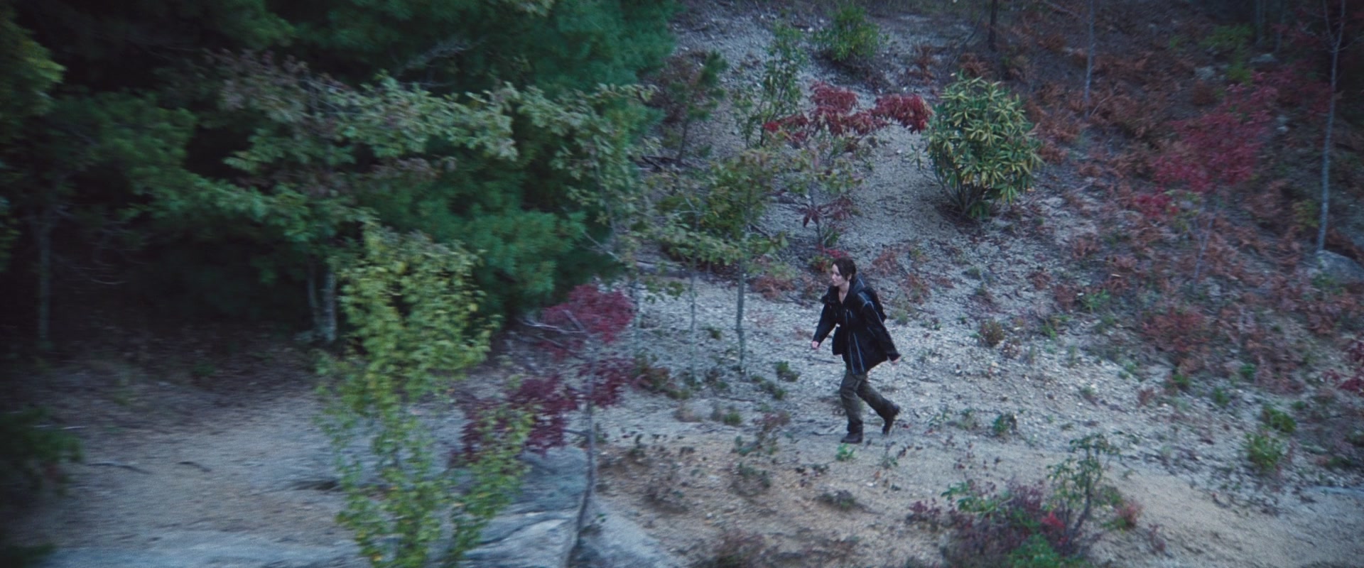 THG_2361.jpg