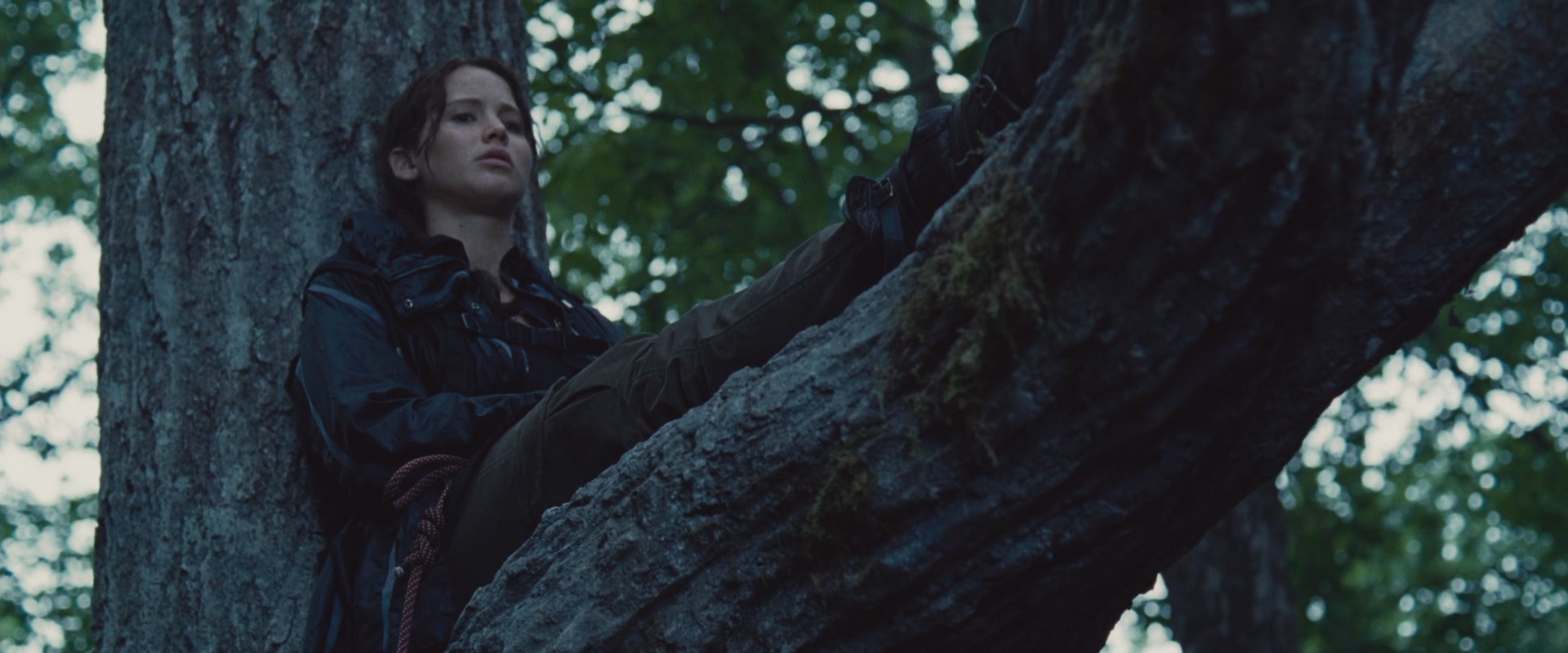 THG_2369.jpg