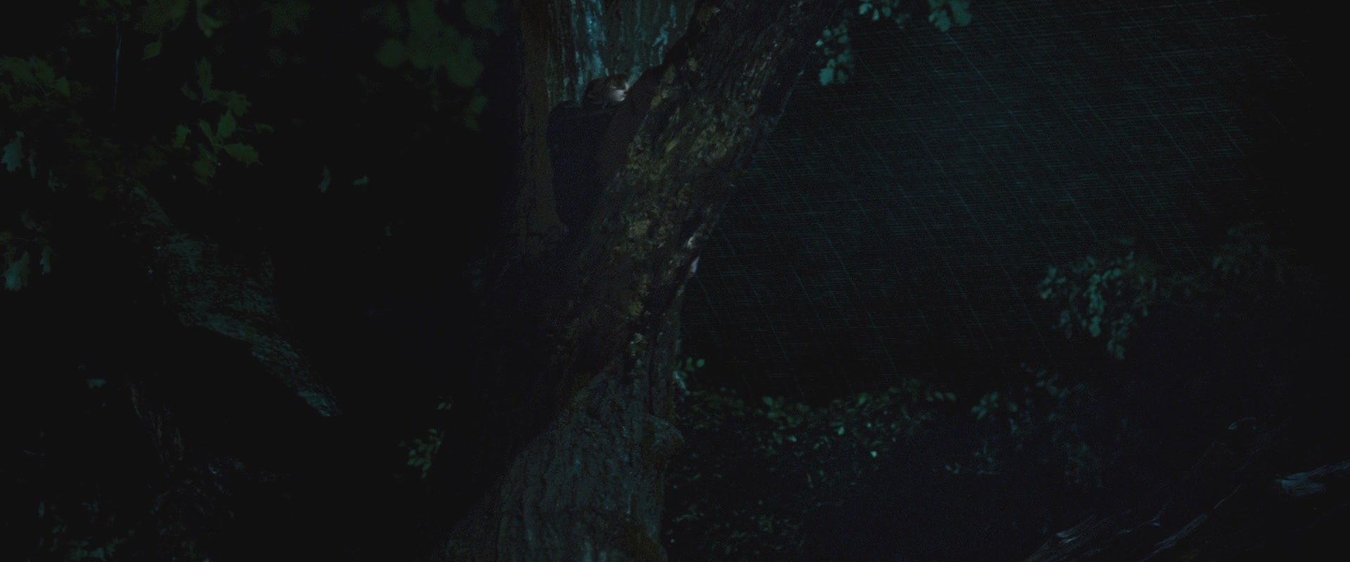 THG_2505.jpg