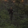 THG_2378.jpg