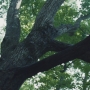 THG_2426.jpg