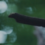 THG_2446.jpg