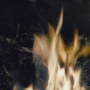 THG_2499.jpg