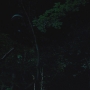 THG_2507.jpg