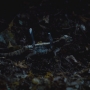 THG_2514.jpg