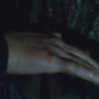 THG_2528.jpg