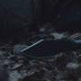 THG_2532.jpg