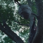 THG_2603.jpg