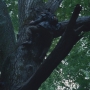 THG_2609.jpg