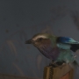 MiMi-00124.jpg