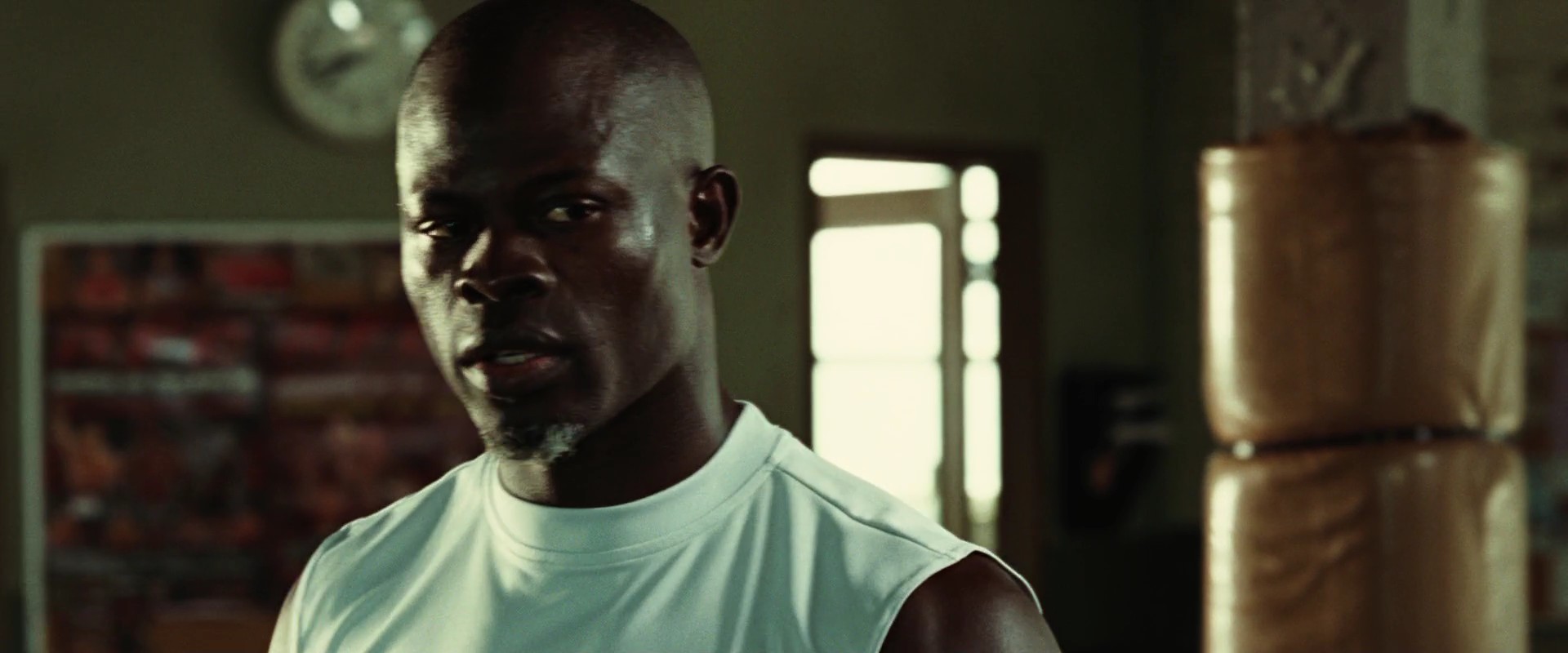 NeverBackDown1186.jpg