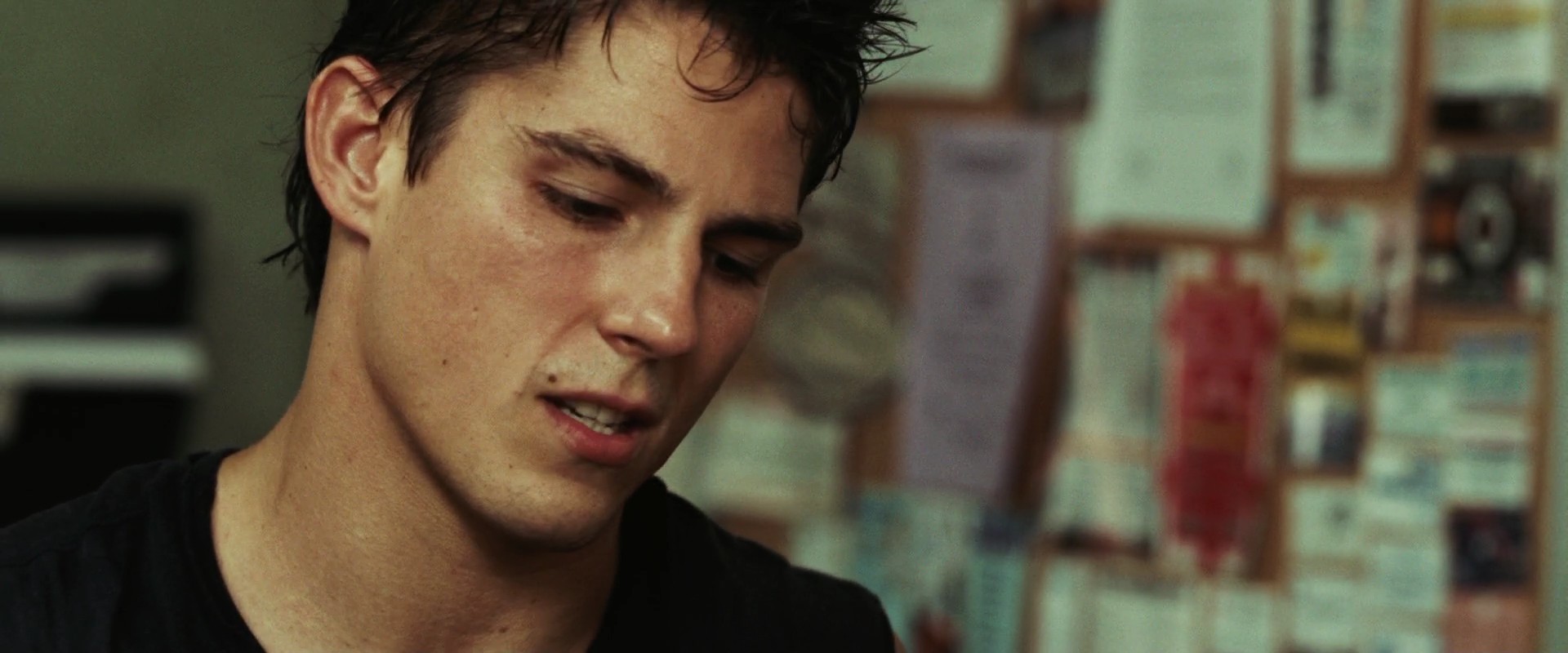 NeverBackDown2008.jpg