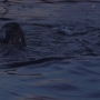 OneDay-00755.jpg