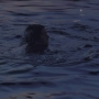 OneDay-00756.jpg