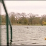 Paddington2-00128.jpg