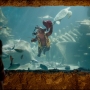 Filename=Paddington2-00606.jpg
Filesize=263KiB
Dimensions=1920x808
Date added=Oct 23, 2021 Paddington2-00606.jpg
