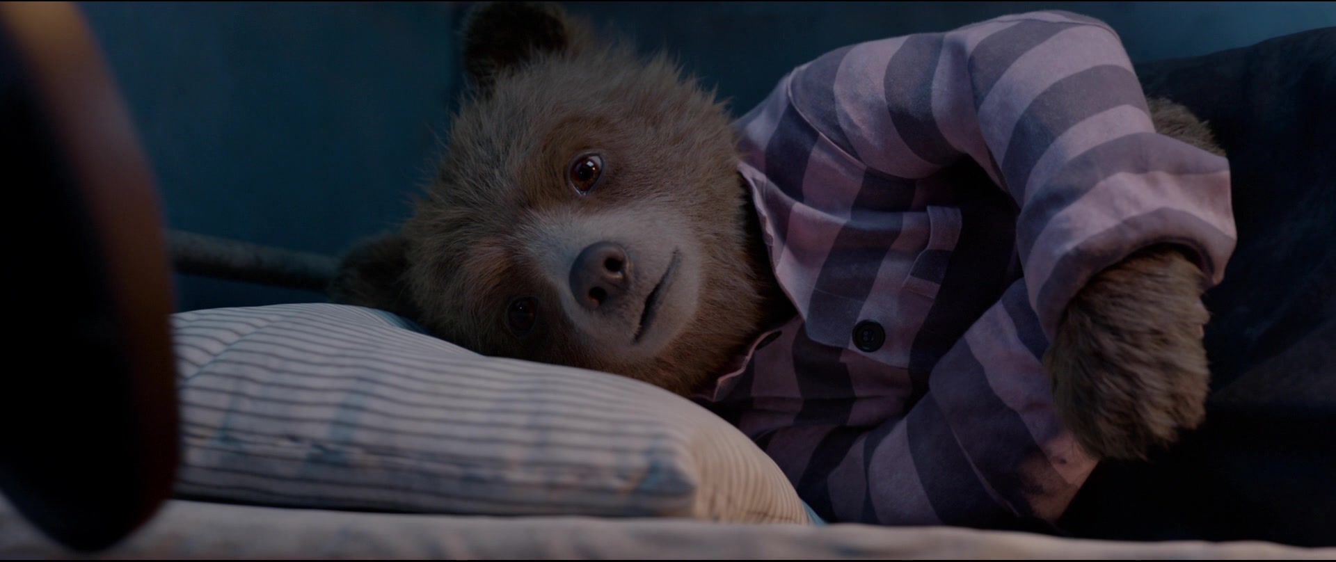 Paddington2-01590.jpg