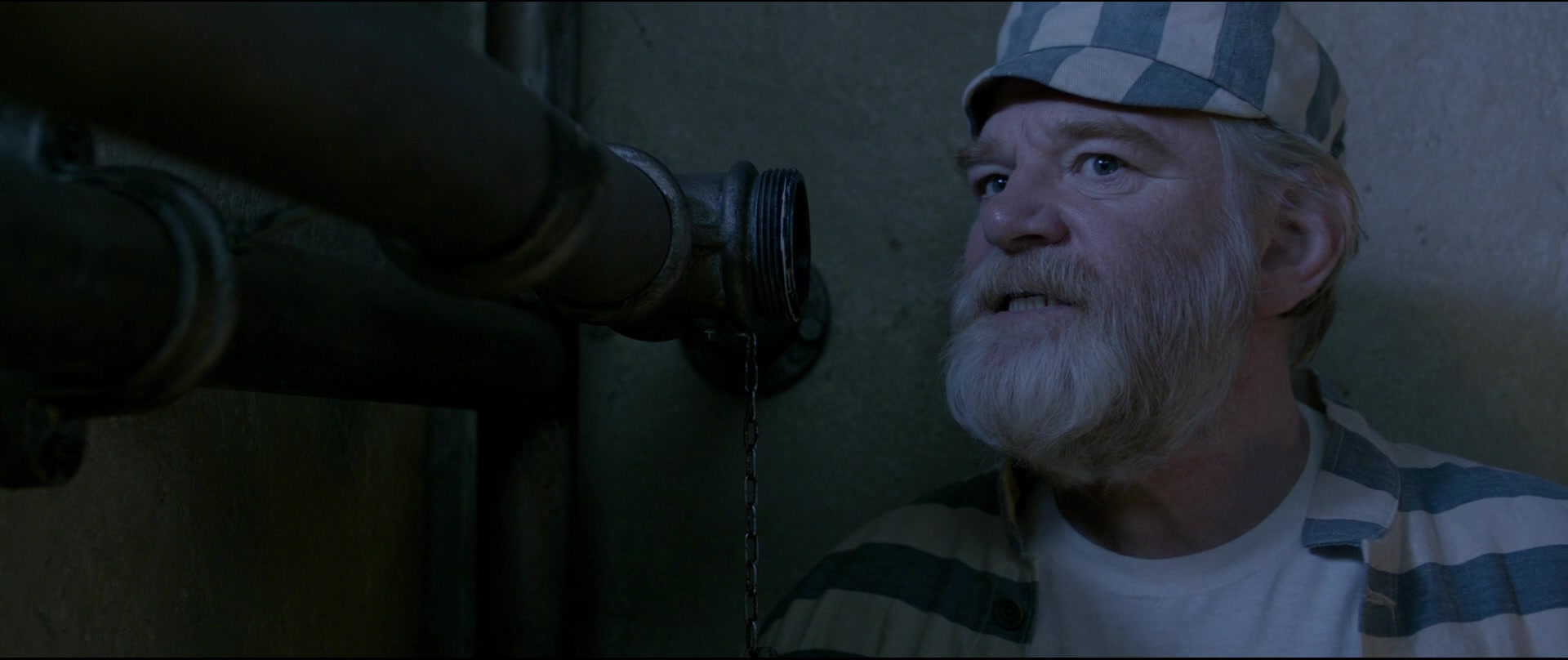 Paddington2-01813.jpg