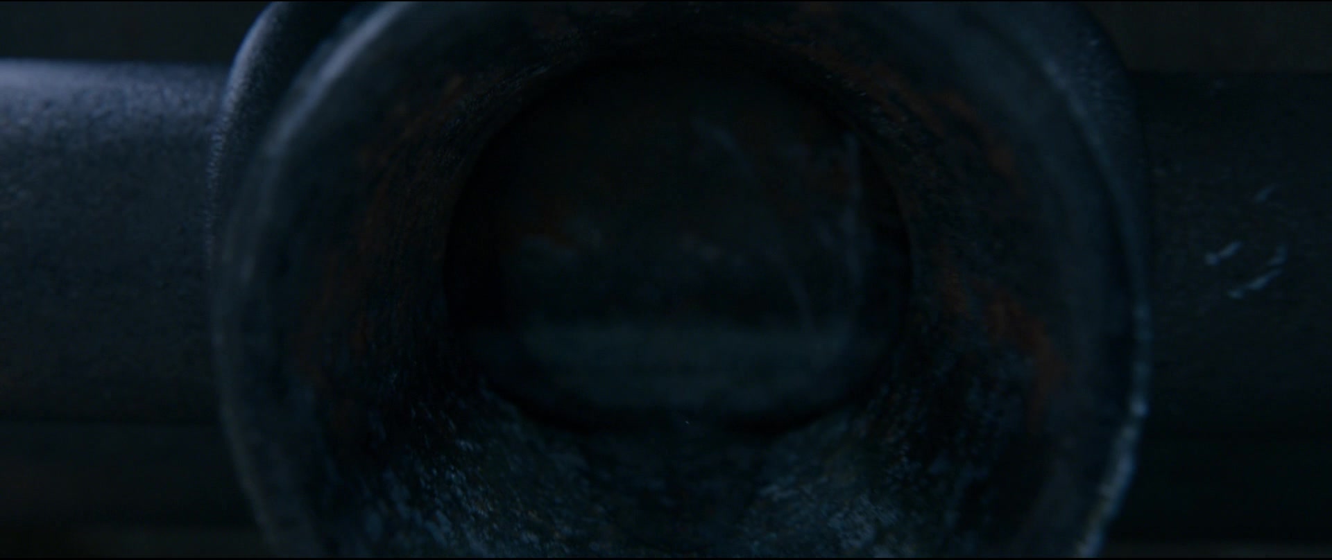 Paddington2-01822.jpg