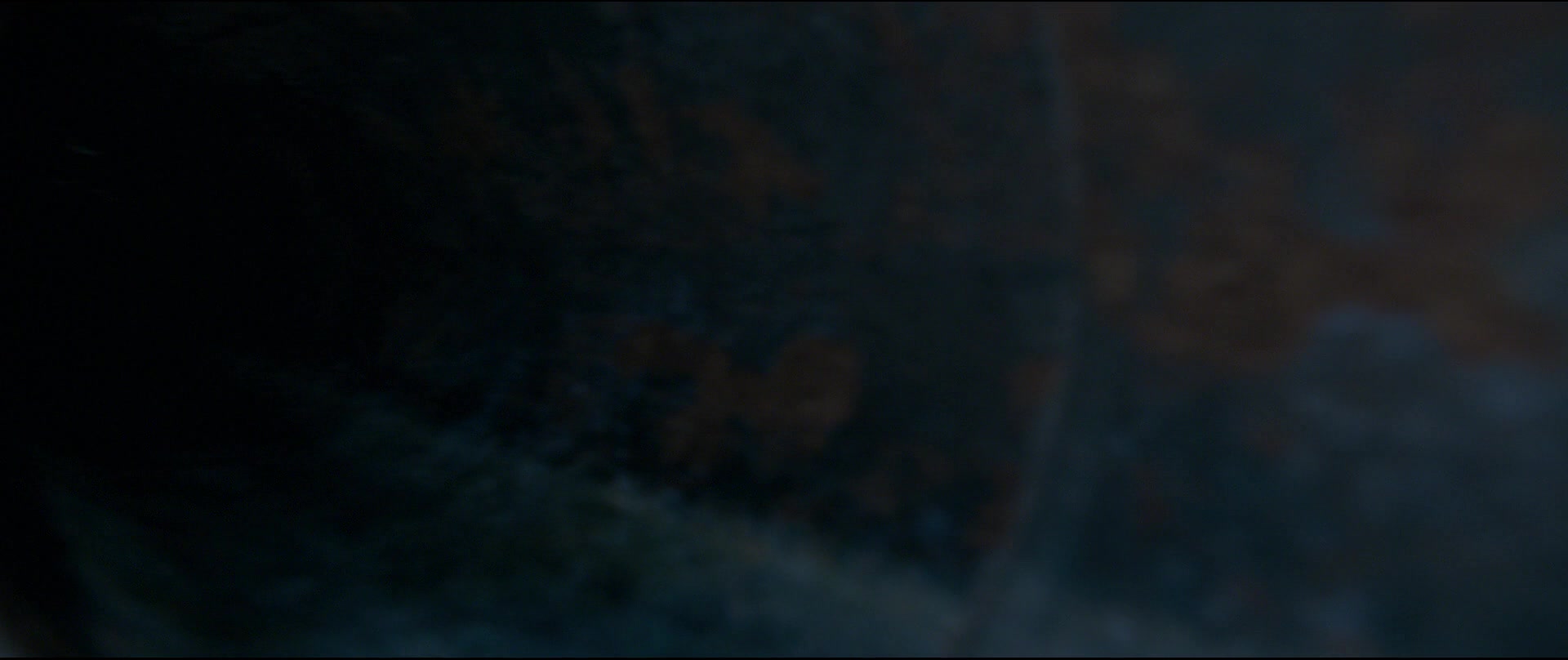 Paddington2-01823.jpg