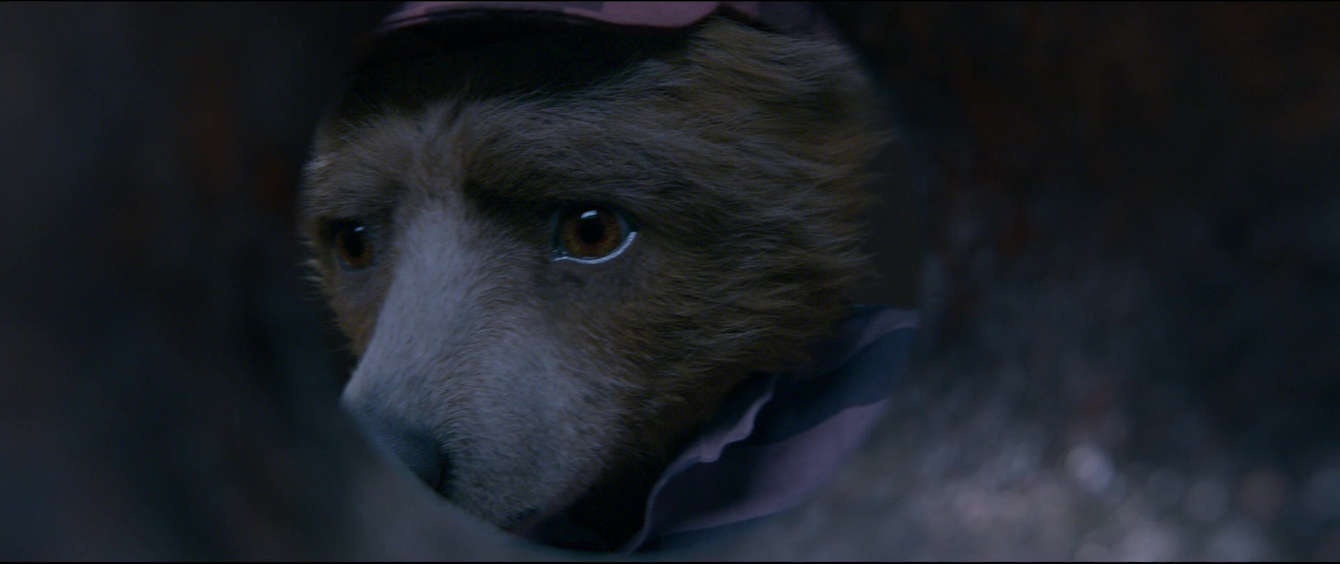 Paddington2-01828.jpg