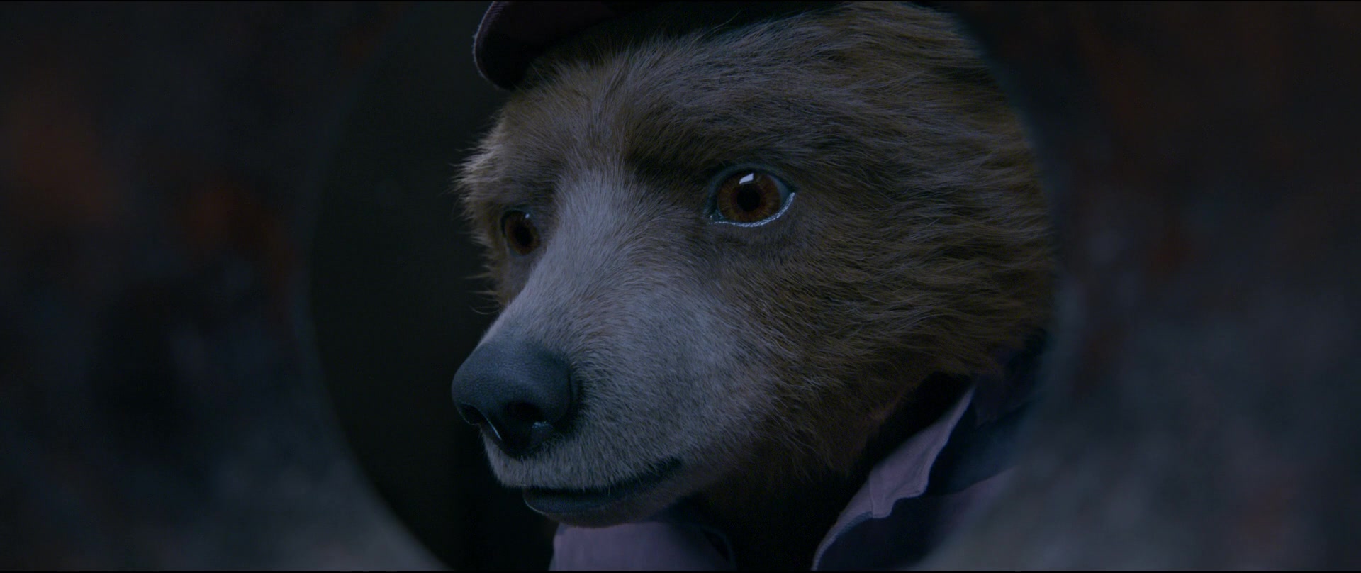 Paddington2-01830.jpg
