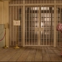 Paddington2-01566.jpg