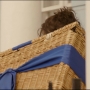 Filename=Paddington2-01853.jpg
Filesize=120KiB
Dimensions=1920x808
Date added=Oct 23, 2021 Paddington2-01853.jpg