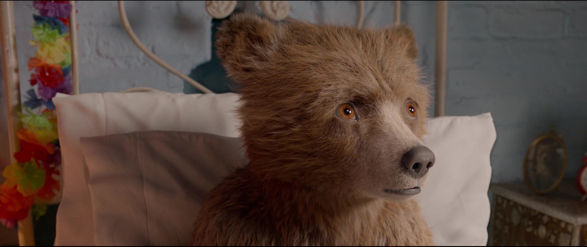 Paddington2-02834.jpg
