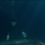 Paddington2-02736.jpg