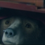 Filename=Paddington2-02761.jpg
Filesize=95KiB
Dimensions=1920x808
Date added=Oct 23, 2021 Paddington2-02761.jpg