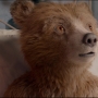 Paddington2-02815.jpg